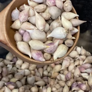 Yemeni Male Garlic